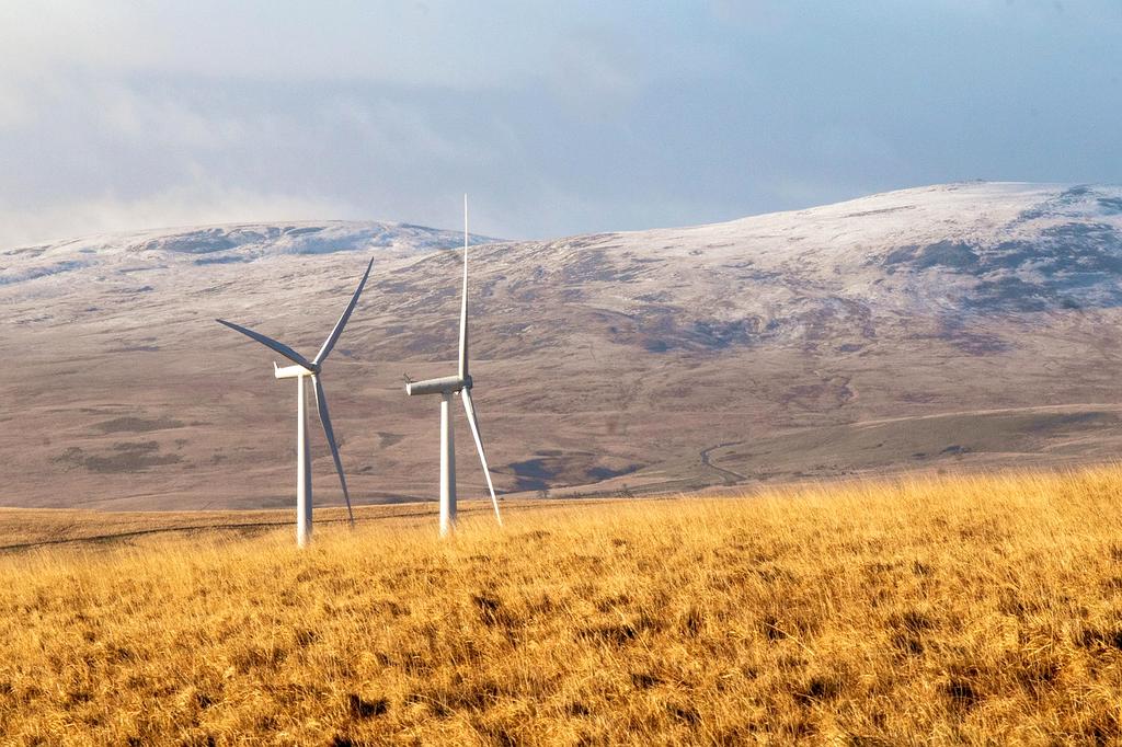 Leaf icon representing consultation