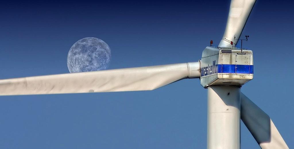 Instructor Marcus Lee