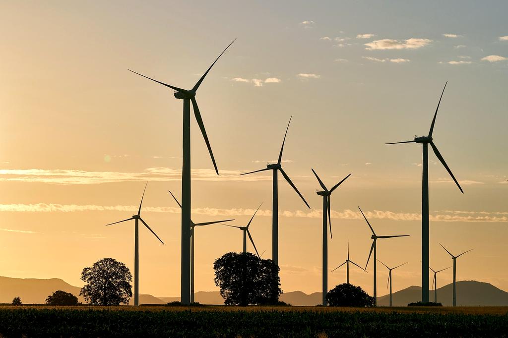 Instructor Sarah Patel